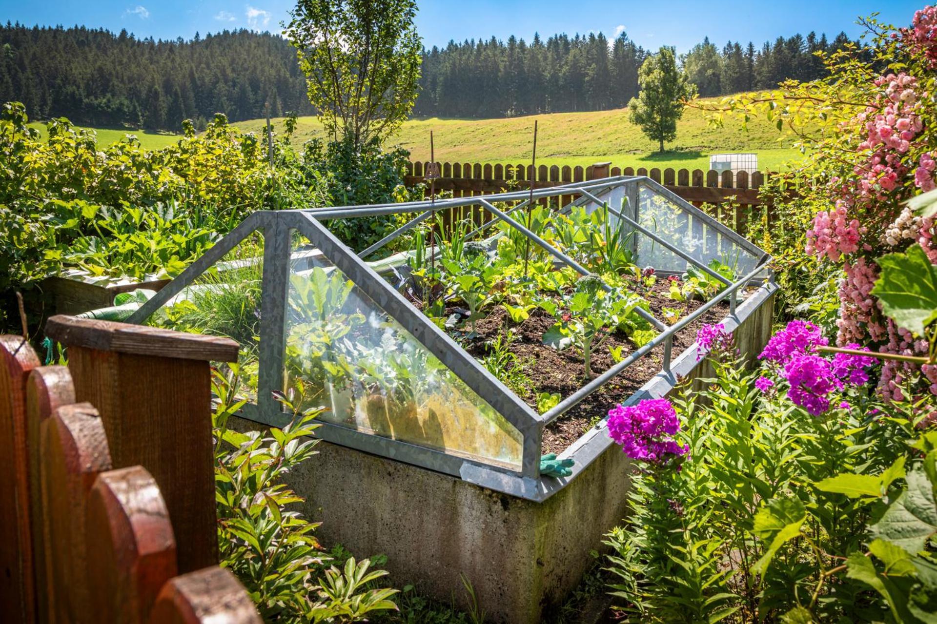 Ferienwohnung Angerlgut Sankt Koloman Extérieur photo